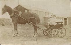 CARTE PHOTO Enfants Caleche Cheval