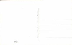 CPA Fantaisie Fleurs