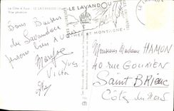 CPA La Cote d'Azur Le Lavandou Var Vue generale