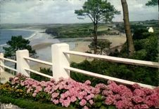 CPA La Cote Bretonne et les Fleurs 