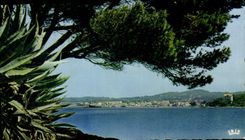 CPA Reflets de la Mediterranee Une large baie des agaves un bouquet de pins tortures par les vents l