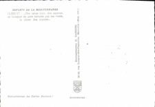 CPA Reflets de la Mediterranee Une large baie des agaves un bouquet de pins tortures par les vents l