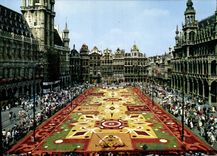CPM Bruxelles Brussel Grand Place Tapis de fleurs 