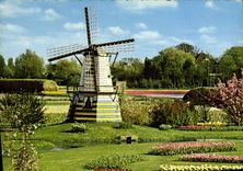 CPM Holland Bloemenland Moienland Moulin a vent