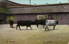 CPM El encierro Taureau Corrida