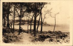 CPA Perros Guirec C du N La Plage de Trestraou vue a travers les Pins 