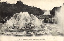 CPA Versailles Bassin de Latone et Tapis Vert 