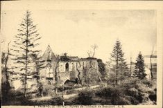 CPA Paimpol Ruines ds l'Abbaye de Beauport 