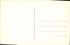 CPA Princesse de Lamballe Marie Therese de Savoie Carignan 