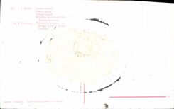 CPA Repine Tsarevna Sophie Russie Russia