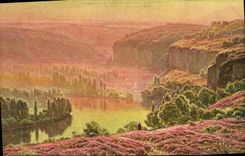 CPA Didier Pouget Brume du matin Bruyeres en fleurs