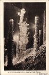CPA L Aven Armand Dans la Foret Vierge 