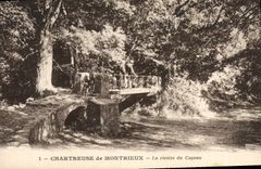 CPA Chartreuse de Montrieux La riviere du Capeau 