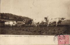 CPA Musee du Luxemburg Labourage Nivernais 
