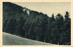 CPA La Louvesc L'Hotel du Mont Besset dans les bois 