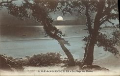 CPA Ile de Noirmoutier La Plage des Dames 