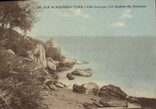 CPA Ile de Noirmoutier Cote Sauvage Les Rochers des Souzeaux 