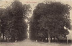 CPA Tanlay l'Avenue 