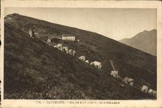 CPA Cauterets Col de Riou 1987 M et Hotellerik 