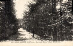 CPA Mont Aigoual (1567 m) Foret de Miquel pres le Grand Hotel