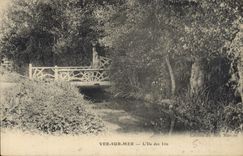 CPA Ver sur Mer L'Ile des Iris