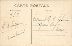 CPA Ver sur Mer L'Ile des Iris