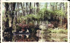 CPA Cypress Gardens Oakley South Caroline Route 52 Twenty four miles North of Charleston
