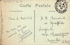 CPA Nice Allee de Palmiers au Chateau