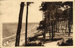 CPA Bassin d'Arcachon Le Moulleau (Cote d'Argent) Les Abatilles la Plage