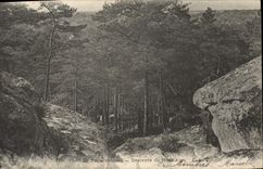 CPA Foret de Fontainebleau Descente du Mont Aigu