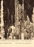CPA Aven Armand Causse Mejean (Lozere) La Foret VIerge (Haut)