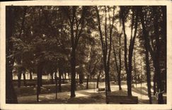 CPA Le Mans (Sarthe) Quinconce des Jacobins