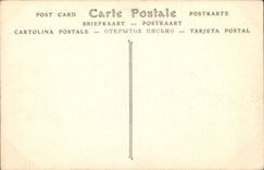 CPA Chateau de Blois Le Cygne Caisson Embleme de Claude de France