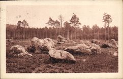 CPA Foret de Fontainebleau Chaos des Fees La Tortues