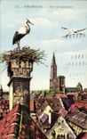 CPA Strasbourg Nid de Cigognes