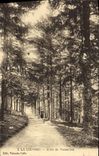 CPA La Louvesc Allee de Versailles