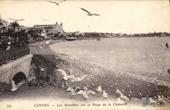 CPA Cannes Les Mouettes sur la Plage de la Croisette 