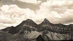 CPA Brenleire Folieran 