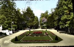 CPA Vittel Dans le Parc La Grande Allee 