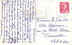 CPA Souvenir de Vichy Hotel de Ville Casino Bassin des Cygnes 