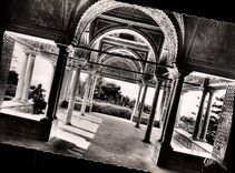 CPA Tunis Le Belvedere la Kouba 