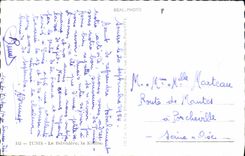 CPA Tunis Le Belvedere la Kouba 