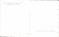 CPM Deauville plage Fleurie les planches et la plage