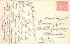 CPA Toulouse porte de l'hotel de molinier ou de Felzins 