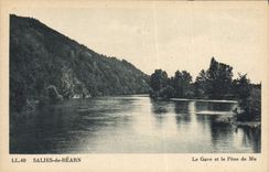 CPA Salies de Bearn Le Gave et le Pene de Mu 
