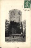 CPA Chatillon Coligny Donjon du Chateau 