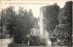 CPA Chatillon Coligny Loiret La Tour de Vauvert et le Milleron 