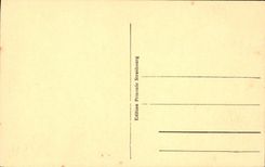 CPA Strasbourg l'Orangerie Ganseliosel par Schultz 