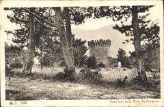 CPA Die Sous bois et la Tour du Purguon 