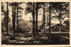CPA Hendaye(Basses Pyrenees) Cote Basque Le Bois d'Amour